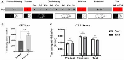 Glucagon-Like Peptide-1 Agonist Exendin-4 Facilitates the Extinction of Cocaine-Induced Condition Place Preference